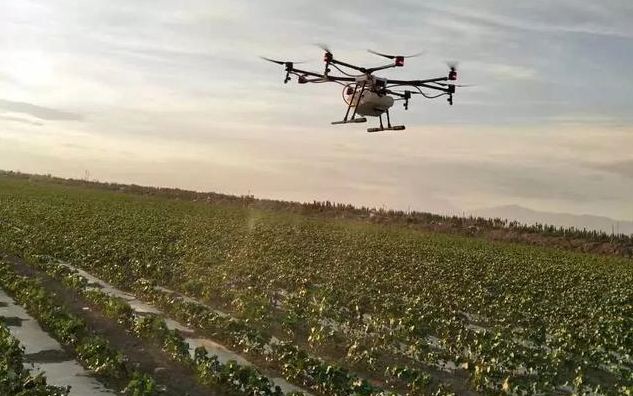 CA數(shù)字證書的驅動程序在哪里下載(CA數(shù)字證書簽名過程)