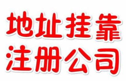 代理記賬一年800元，記賬會(huì)計(jì)代理