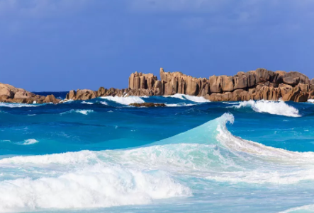 塞舌爾公司逾期年審有什么后果？